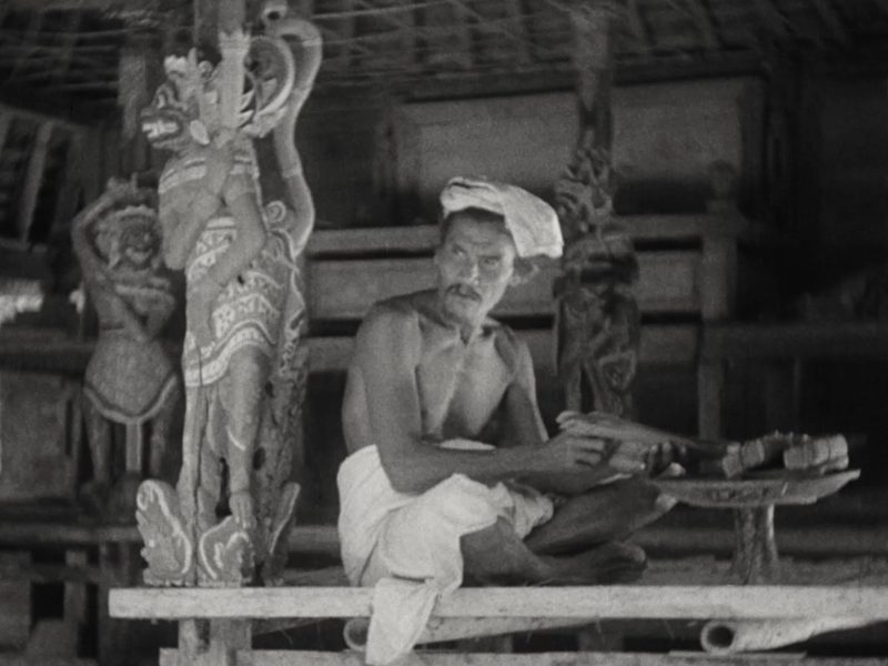 Image 4-11-25 at 7.46 PM